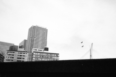 img924