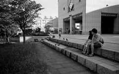 横浜美術館 -中庭-