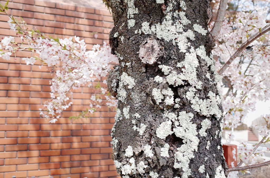 diary 2014/4/12