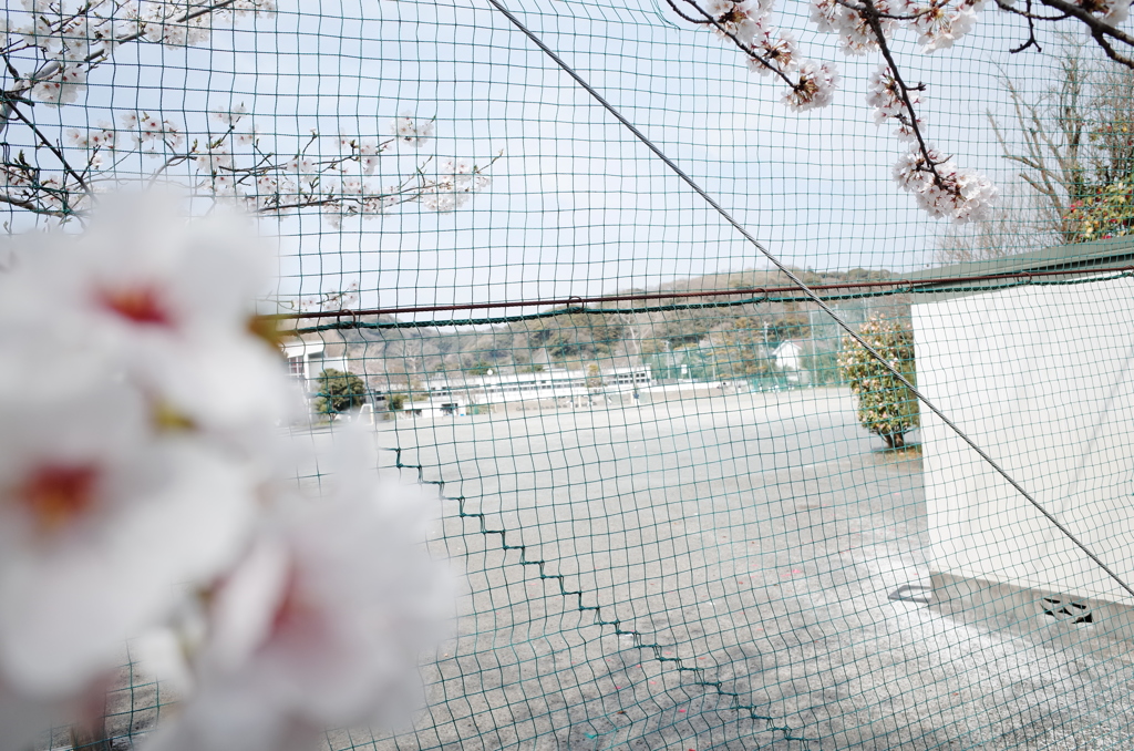 diary 2014/4/1 2