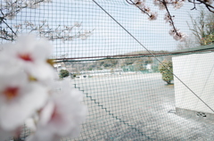 diary 2014/4/1 2