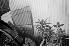 img918