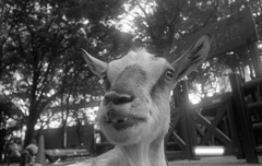 上野Zoo 2012/8 3