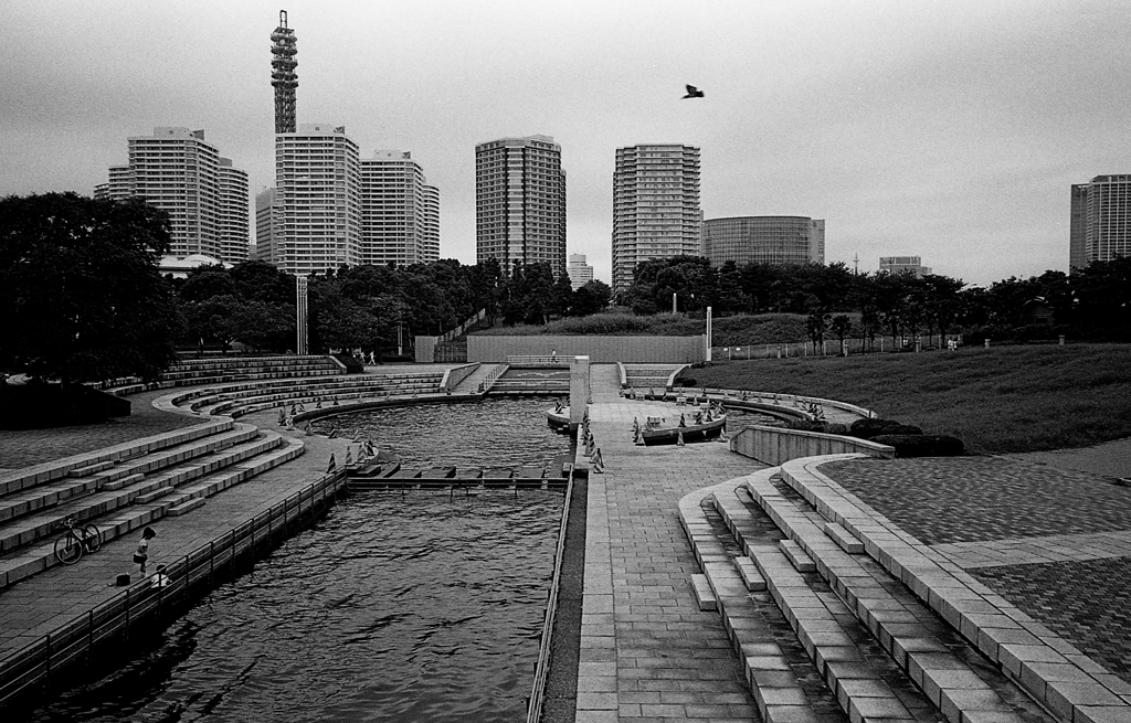 港、公園
