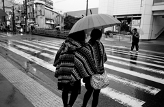 傘とストール、考察