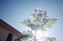 diary 2013/11/24