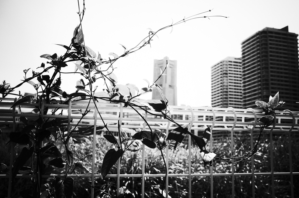 diary 2013/9/29