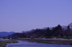 IMGP8798