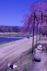 IMGP8765