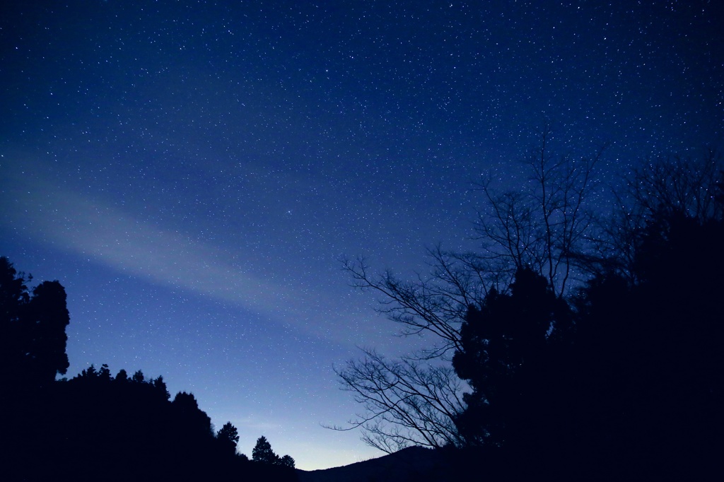 星野村