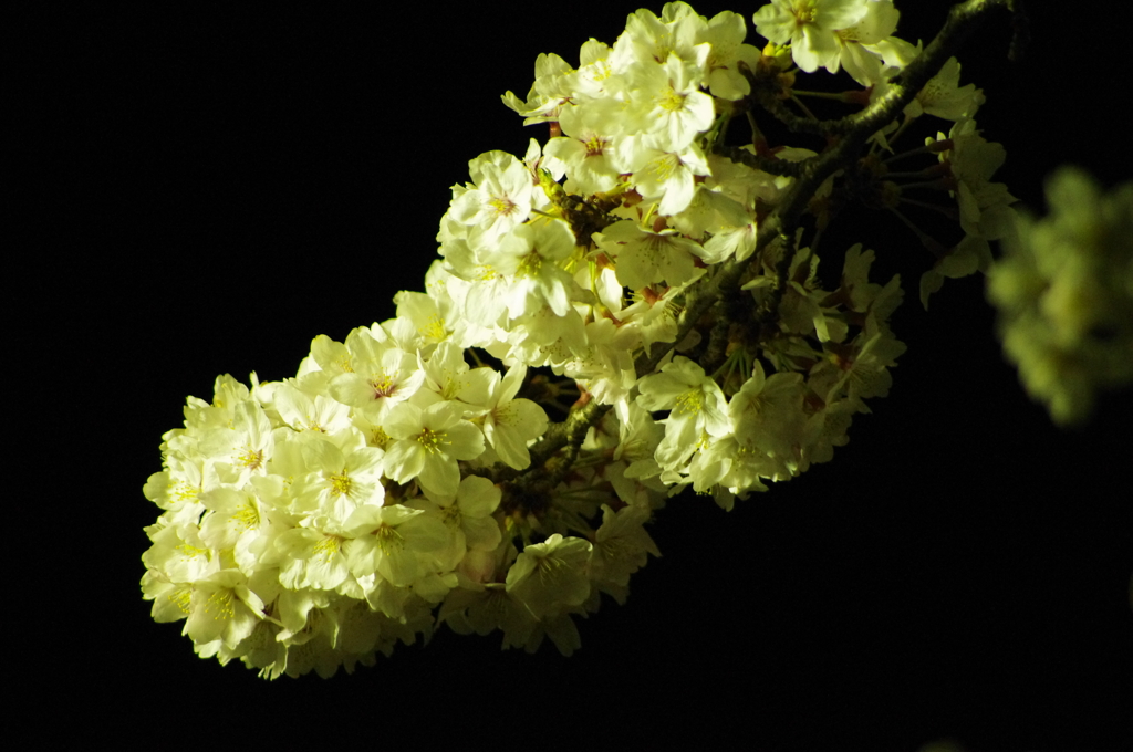 20120409-222858-0001