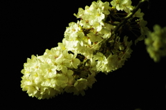 20120409-222858-0001