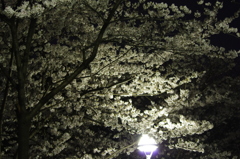 20120409-215552-0001