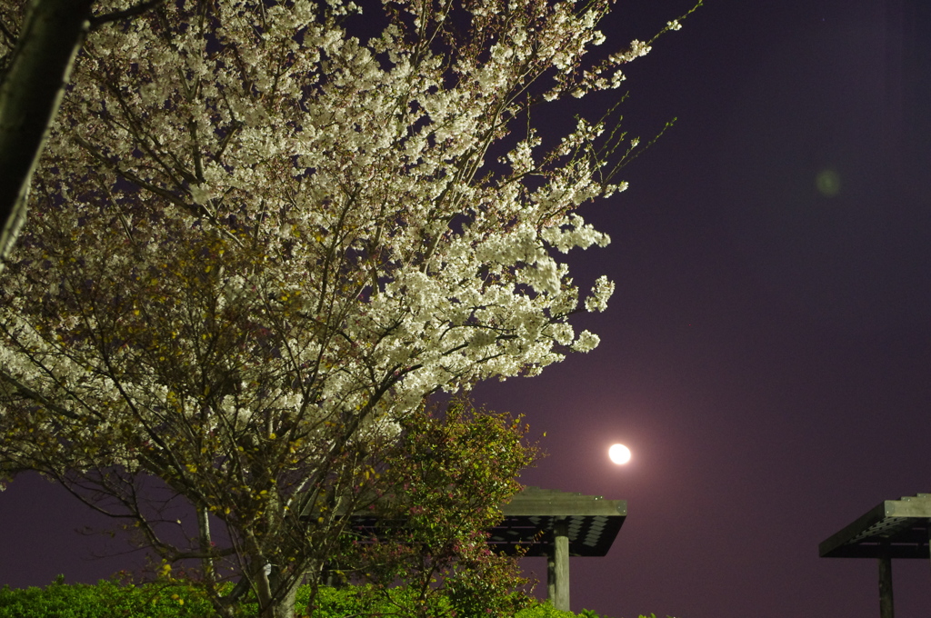 20120409-221806-0001