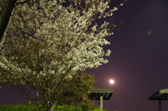 20120409-221806-0001