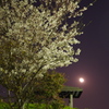 20120409-221806-0001