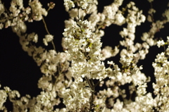 20120409-222406-0001