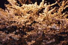 20120409-232816-0001