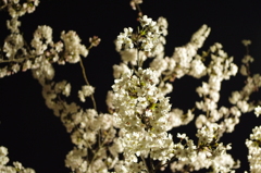 20120409-222342-0001