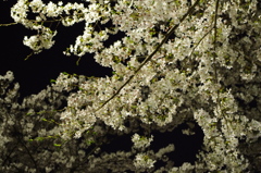 20120409-214808-0001