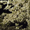 20120409-214808-0001