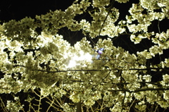 20120409-222146-0001