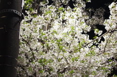 20120409-231420-0001