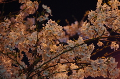 20120409-233002-0001