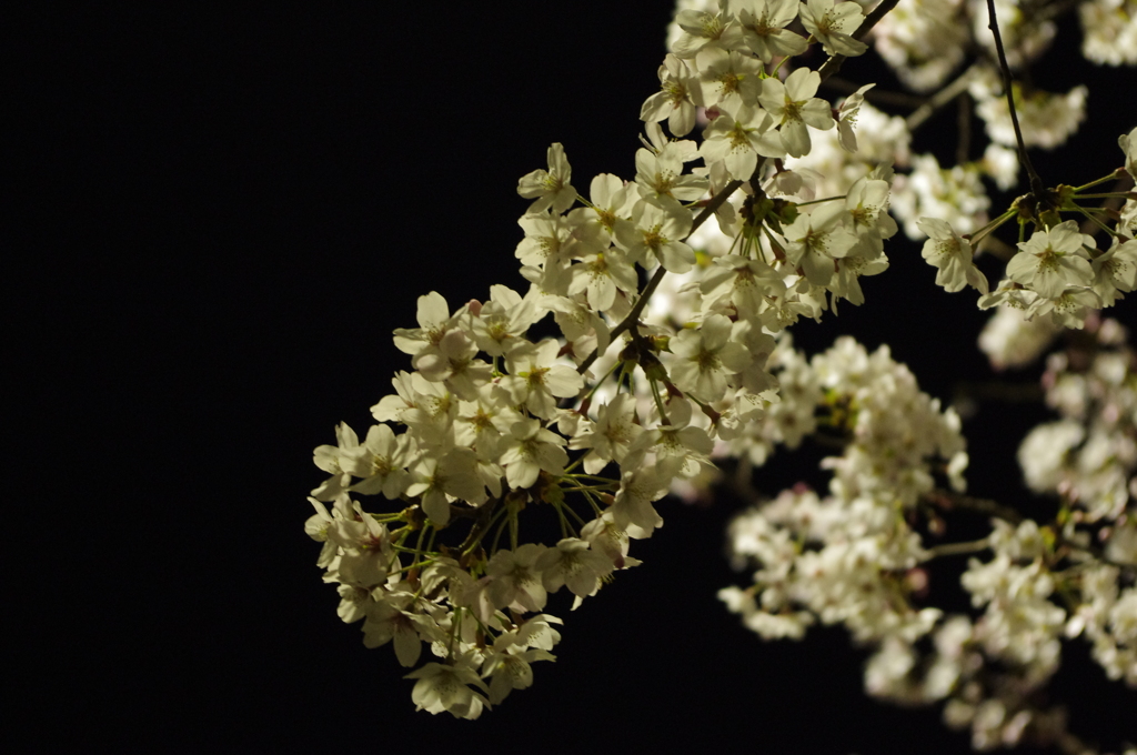 20120409-222234-0001