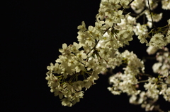 20120409-222234-0001