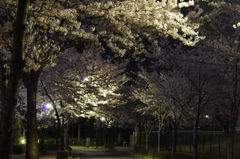 20120409-233820-0001
