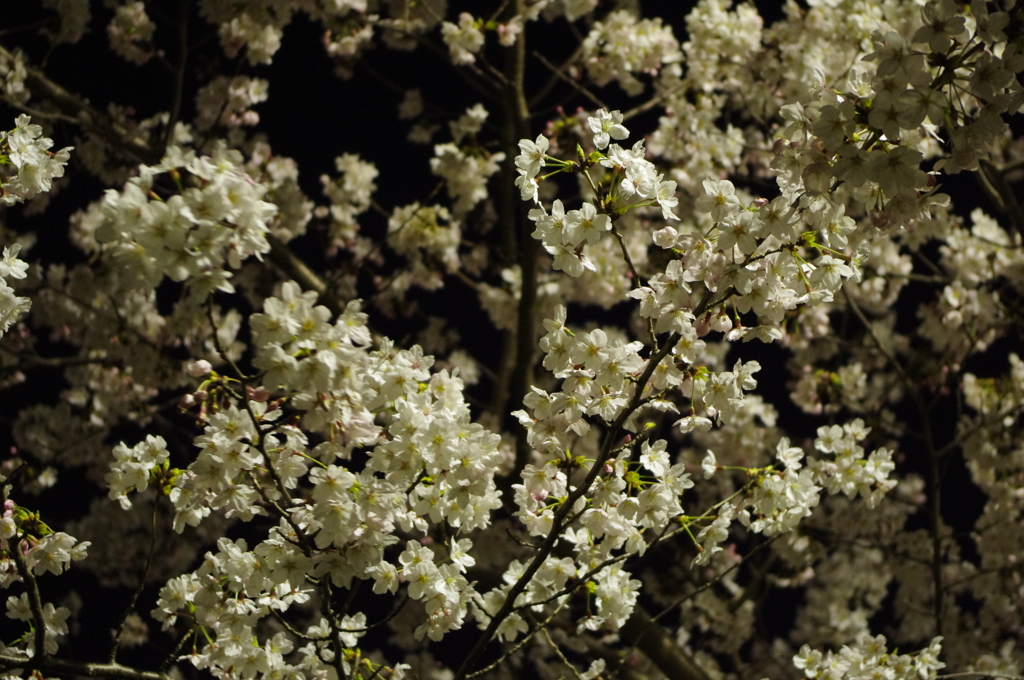 20120409-222314-0001