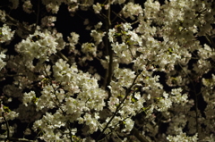 20120409-222314-0001