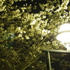 20120409-214508-0001