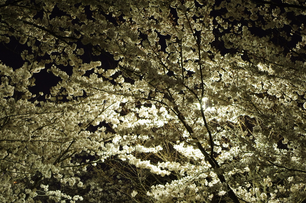 20120409-222042-0001