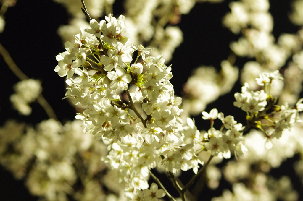 20120409-222522-0001