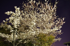 20120409-221858-0001