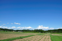 sng_20120819_376