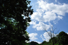 sng_20120819_375