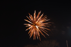 露光間ズームで撮影した花火