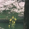 名脇役