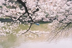 ふたつの春