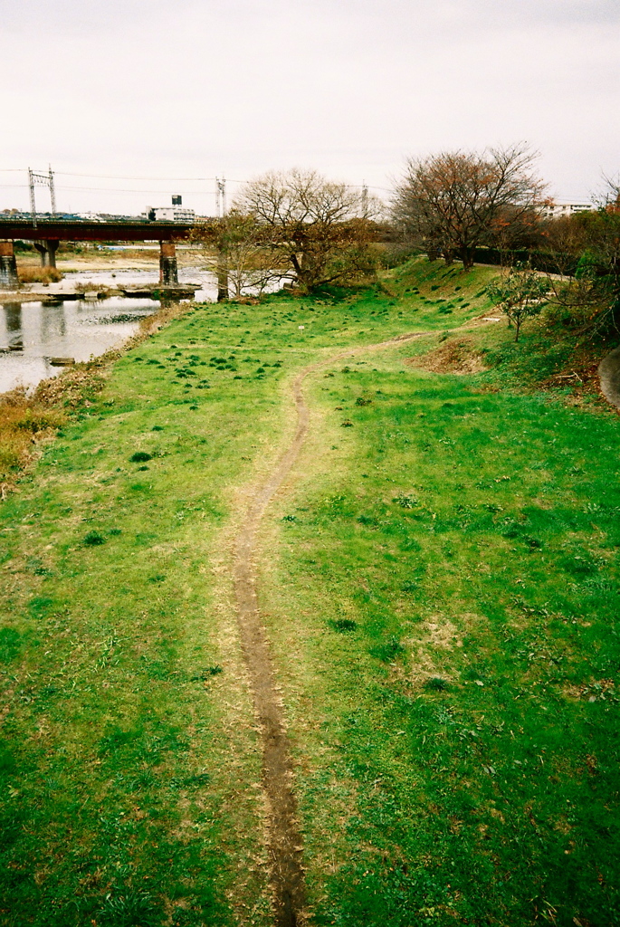 道