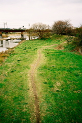 道