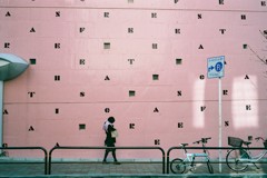 桃色写真そのニ