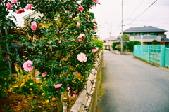 街角に見る冬