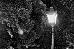 横浜の街灯