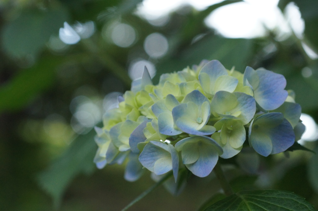 保土ヶ谷公園にて