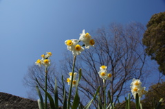 保土ヶ谷公園にて