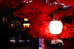 紅葉シーズン